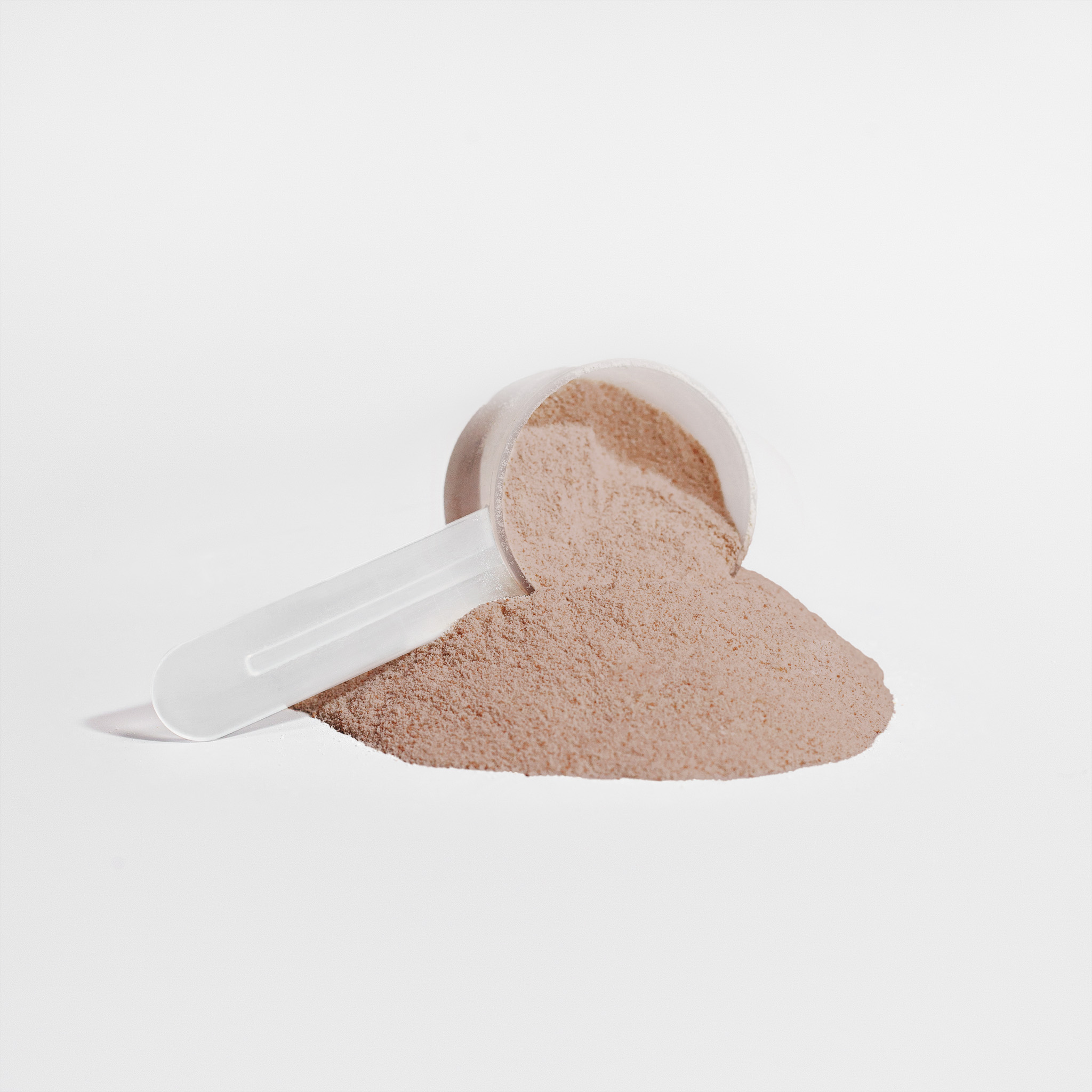 Plant Protein (Chocolate) - Image 2